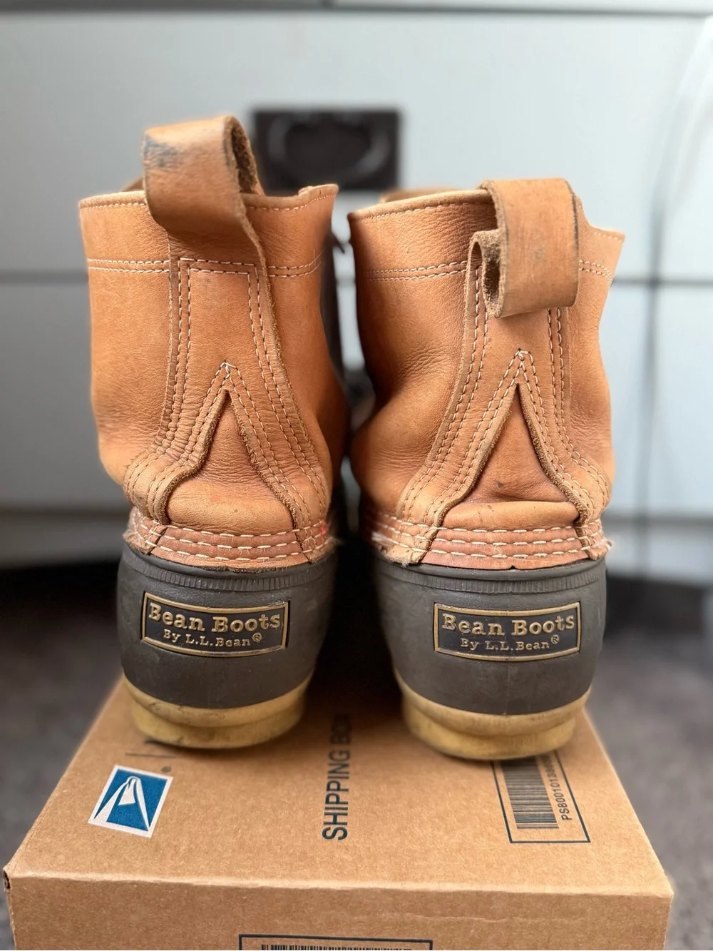 L.L. Bean bean lace